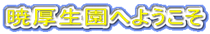 Ōւ悤
